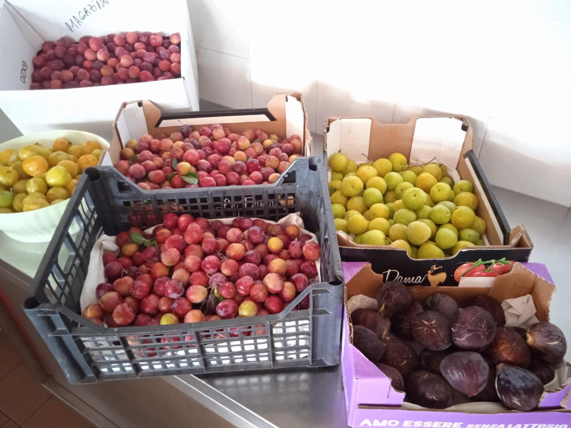 Locanda Dell'Amicizia Seccheto Dış mekan fotoğraf